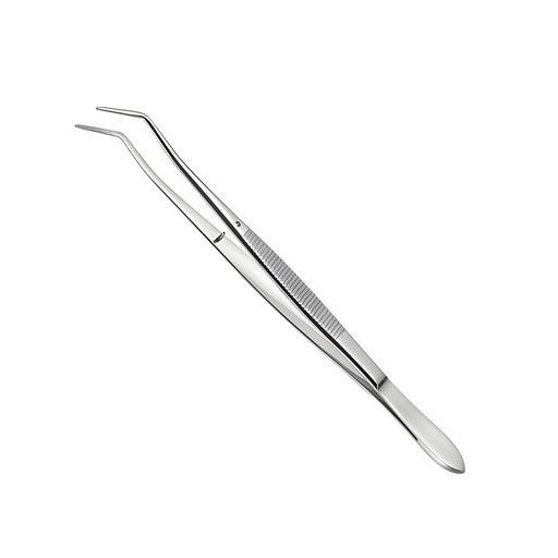 Pinza de algodón. ROCKMED (MDD.DT.055)