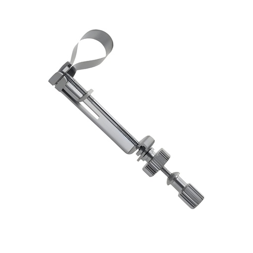 Porta matriz Ivory. ROCKMED (MDR.RDI.605)